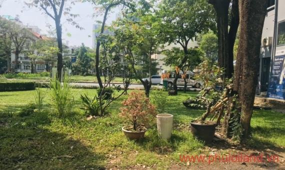 Giá đất Phú Mỹ Hưng Quận 7 T1/2023