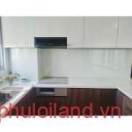 hinh-anh-bep-can-ho-can-cho-thue-rong-thoang