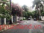 hinh-anh-duong-noi-khu-my-van-1-quan-7
