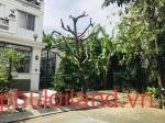 hinh-anh-mua-ban-nha-dat-khu-dan-cu-phu-my-hoang-quoc-viet-t2-2023