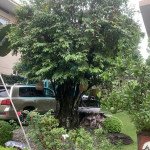 hinh-anh-san-vuon-truoc-biet-thu-phu-gia-ban