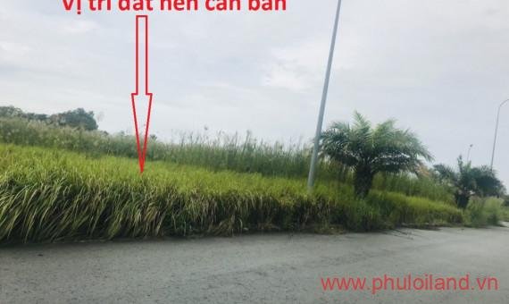 vi tri dat nen can ban tai khu dan cu star village t1 2023 570x340 - Mua b&aacute;n nh&agrave; đất The Star Village Nh&agrave; B&egrave;, HCM, gi&aacute; rẻ