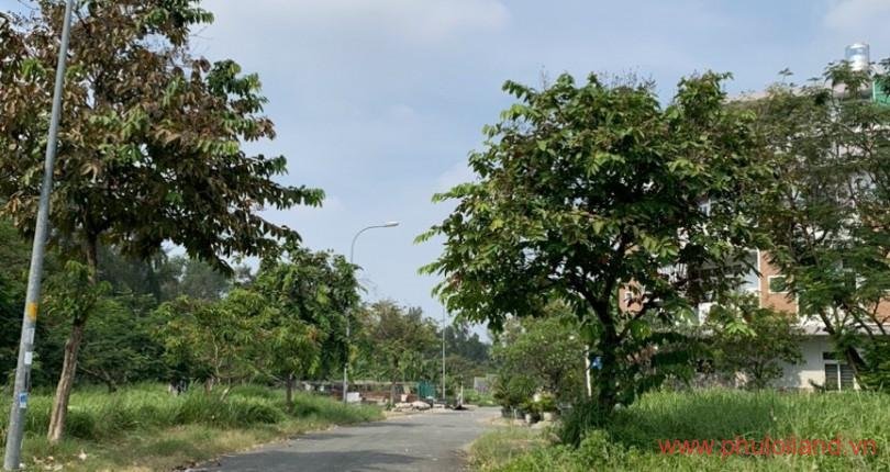 Mua bán đất KDC Phước Kiển A T1/2023 giá rẻ