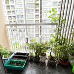 view-bancon-can-ho-cho-thue