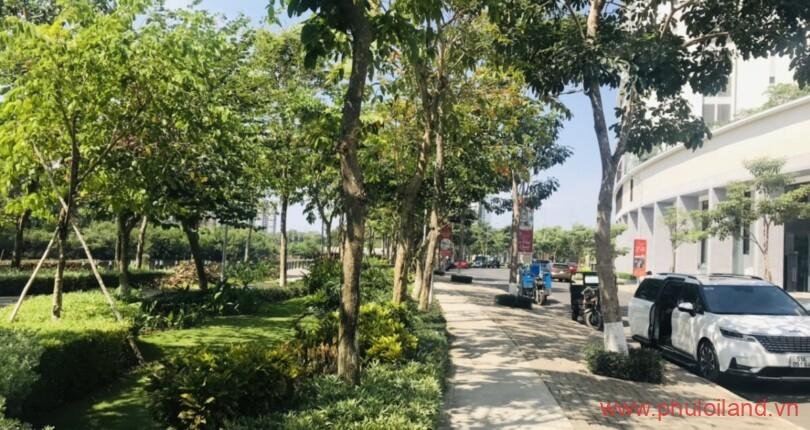 can-canh-cong-vien-hoa-anh-dao-sakura-lien-ke-midtown-m8
