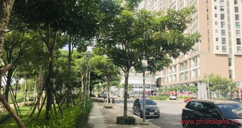 can-canh-cong-vien-hoa-anh-dao-sakura-park-noi-khu-midtown-phu-my-hung