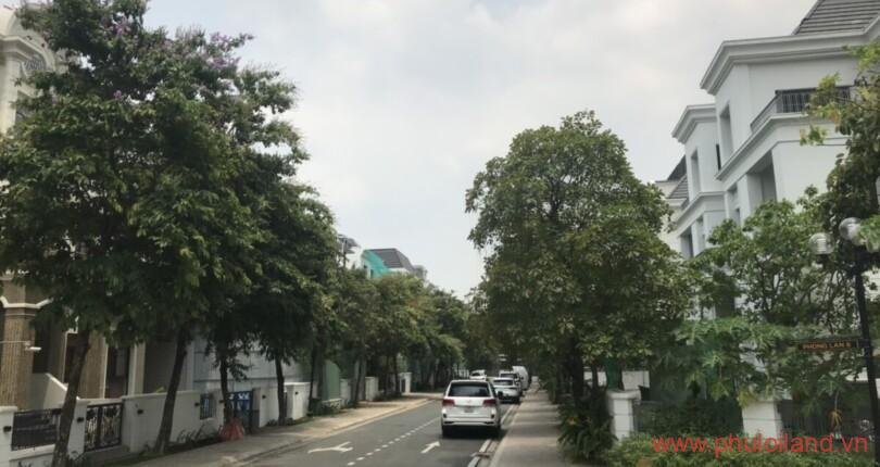 duong-noi-khu-biet-thu-vinhomes-central-park-binh-thanh