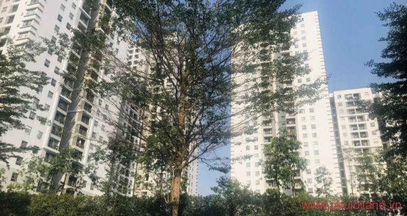 hinh-anh-chung-cu-saigon-south-residence-nha-be-t2-2023