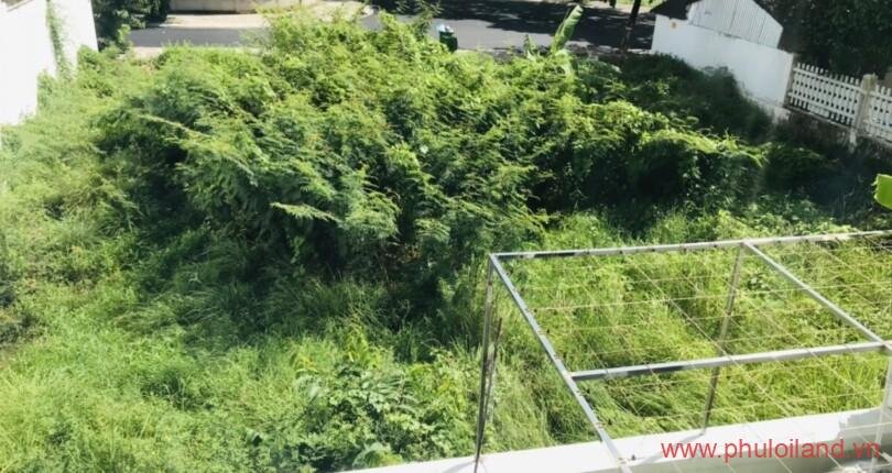 hinh-anh-mua-ban-dat-nen-kdc-tran-thai-nha-be-t3-2023