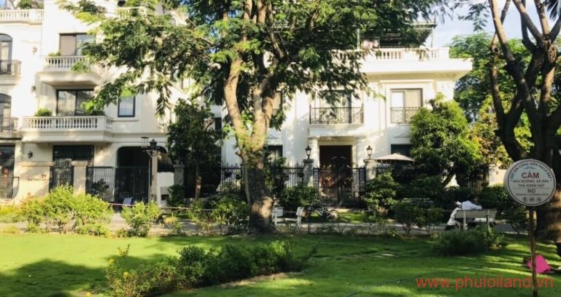 hinh-anh-mua-ban-nha-dat-khu-nam-thong-phu-my-hung-quan-7