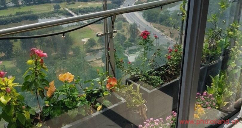 hinh-ban-cong-phong-khach-can-ho-can-ban