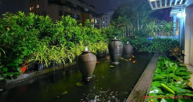 ho-ca-koi-rong-rai-co-the-lam-thanh-ho-boi
