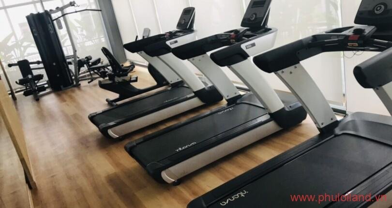 phong-gym-noi-khu-amelie-phu-my-hung