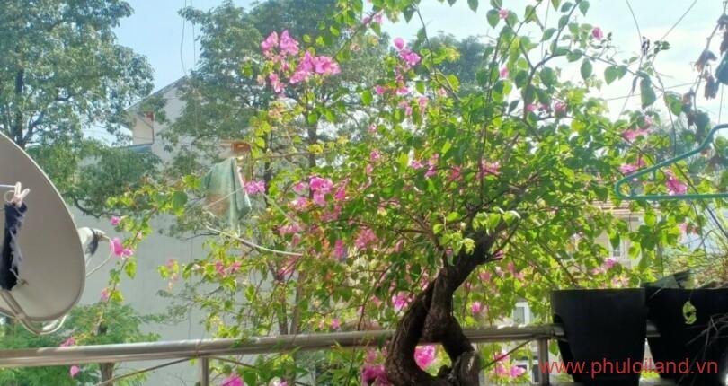 view-nhin-ban-cong-phong-khach