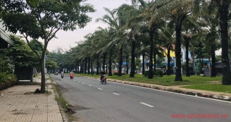 duong-noi-khu-trung-son