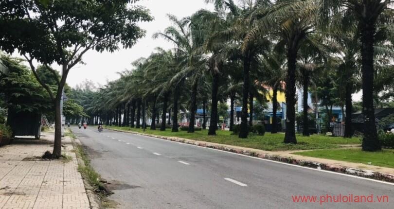 hinh-anh-duong-9a-kdc-trung-son-binh-chanh