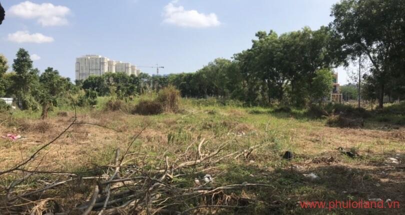 hinh-anh-mua-ban-dat-nen-khu-dan-cu-adc-phu-my-t3-2023