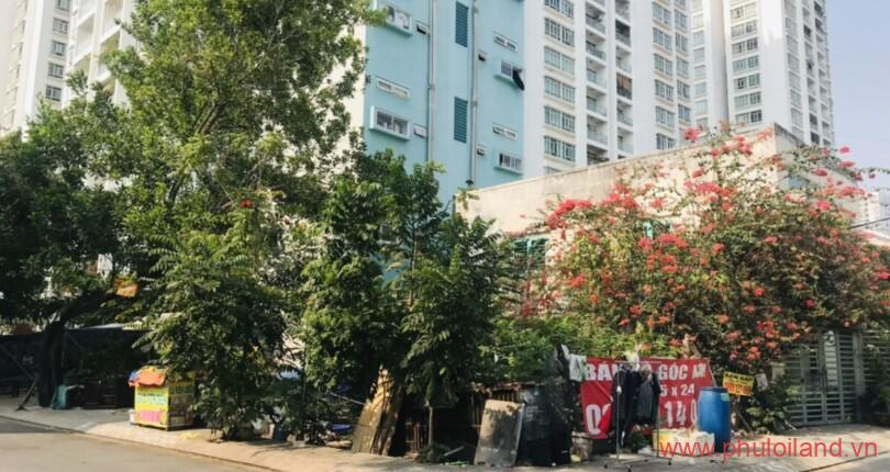 hinh anh mua ban dat nen khu dan cu dan an phuoc kien nha be t4 2023 810x430 - Mua bán đất góc hai mặt tiền Khu dân cư Dân An Phước Kiển Nhà Bè T4/2023 giá rẻ