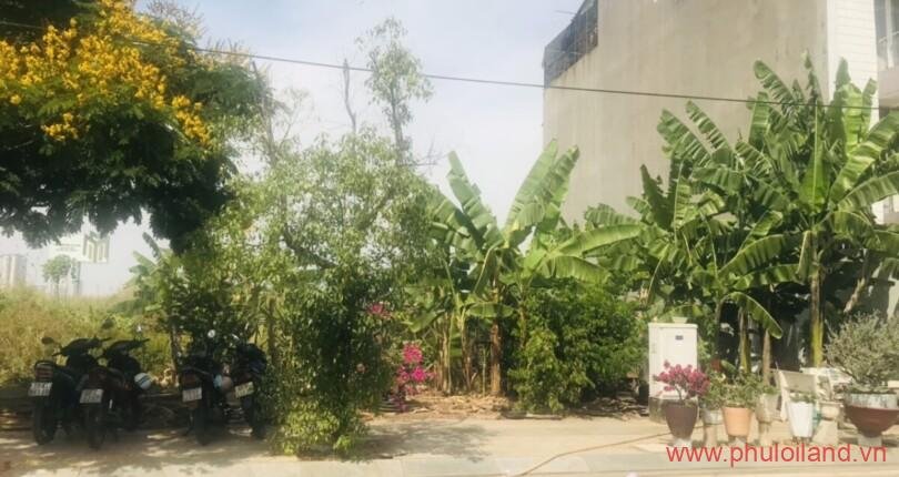 hinh-anh-mua-ban-dat-nen-khu-tai-dinh-cu-nam-rach-chiec-t3-2023