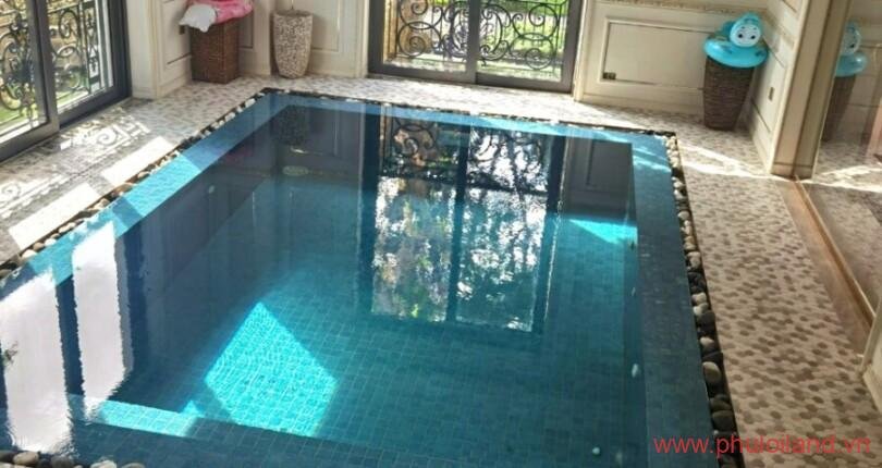 ho-boi-trong-can-biet-thu-can-cho-thue-nam-thong-3 (2)