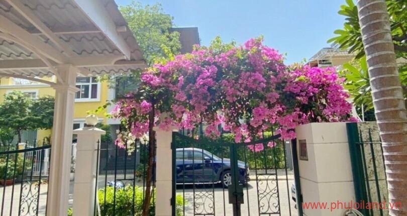 san-vuon-truoc-nha-dat-can-ban