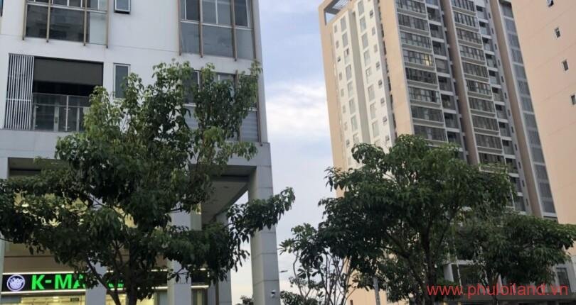 z3882201373169_86e7ea2865f33dbc9d5ff7555c754dbc