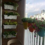 232526ca6d89b2d7eb9817