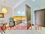 cho-thue-can-ho-Novaland Sunrise-Riverside-gia-thue-16tr (4)