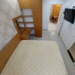 cho-thue-can-ho-sky -garden-3 (4)