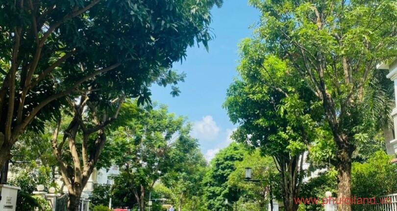 duong-noi-khu-my-phu-3-quan-7