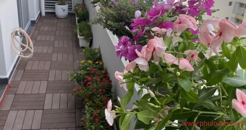 ban-cong-cua-can-ho-can-ban-scenic-valley-1