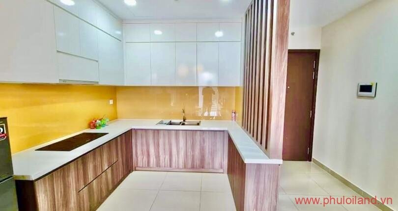 cho-thue-can-ho-Novaland Sunrise-Riverside-gia-thue-16tr (5)