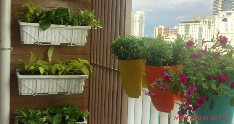 goc-ban-cong-nho-trong-can-ho-can-cho-thue-scenic-valley-1