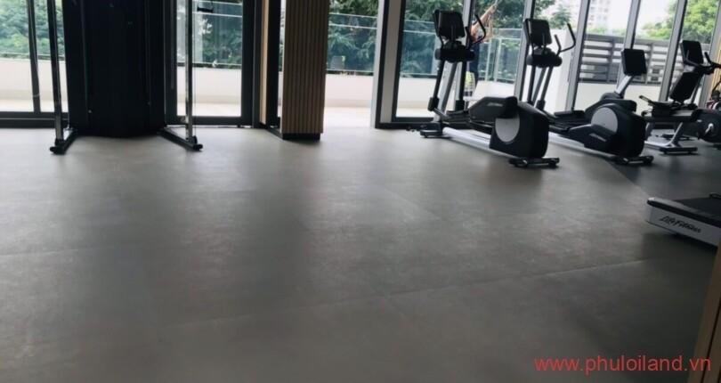 phong-gym-noi-khu-ascentia-phu-my-hung