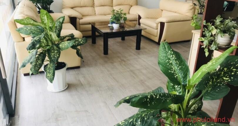 phong tiep khach trong van phong cho thue 810x430 - Cho thuê văn phòng Phú Mỹ Hưng T5/2023 giá rẻ