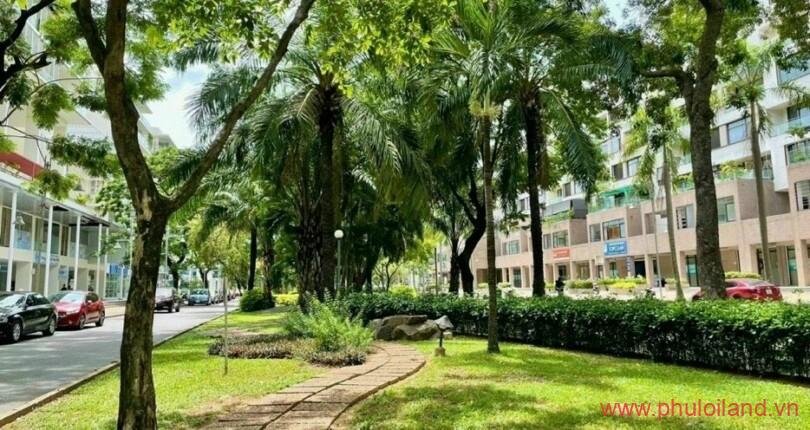 vi-tri-shophouse-doi-dien-dai-lo-ton-dat-tien-phuong-tan-phong-quan-7