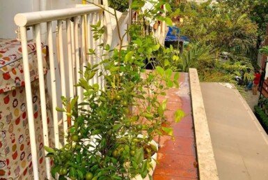 can-ban-can-ho-hung-vuong-khu-vuc-banc-cong