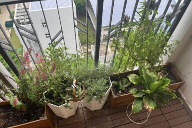 can-canh-ban-cong-can-ho-ban