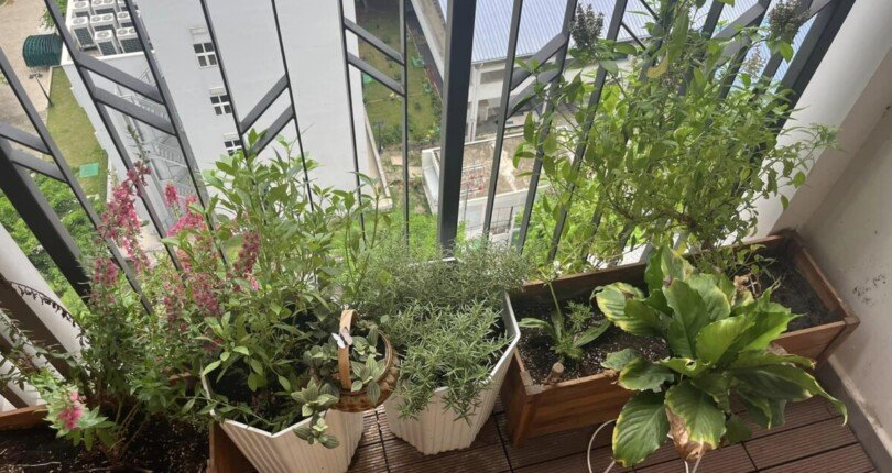 can canh ban cong can ho ban 810x430 - Mua bán căn hộ Saigon South Residences Phước Kiển, Nhà Bè T7/2023 giá rẻ