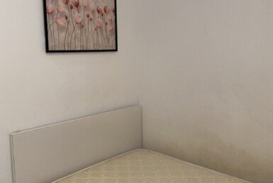 chi-thue-can-ho-sky-garden-3 (21)