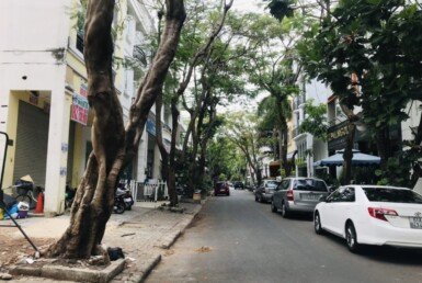 duong-noi-khu-lo-gioi-10m