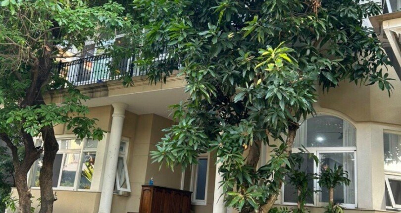 hinh anh mua ban nha dat khu biet thu phu gia quan 7 t7 2023 810x430 - Mua bán nhà đất Khu biệt thự Phú Gia Quận 7 T7/2023