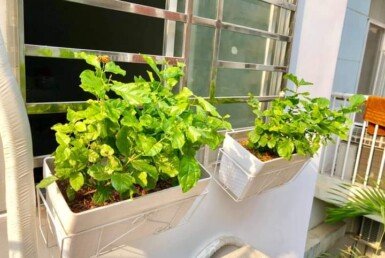 z4236855966668_34d02d72b650bb1b8cb10b41b307eb50