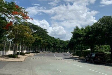 duong-noi-khu-chateau-phu-my-hung
