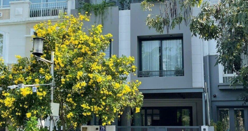 hinh anh mua ban nha dat phu my hung q7 khu pho my thai 1 810x430 - Mua bán nhà đất Phú Mỹ Hưng Q7 T7/2023 giá rẻ