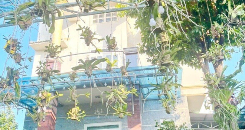 nha mat pho can ban 810x430 - Xuất cảnh cần bán nhà phố 1.583m2 đất, mặt tiền đường lớn Đào Sư Tích, Phước Lộc , Nhà Bè.