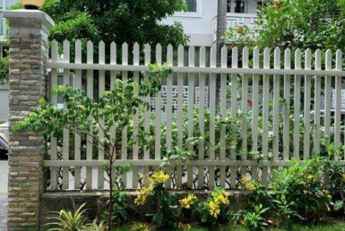 san-vuon-truoc-nha-biet-thu-cho-thue