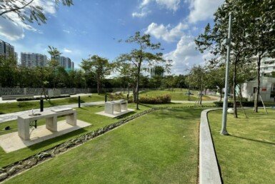 z4464337198549_001_db3fe240b585d21051a7db34ef334fcf