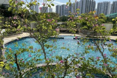 z4464337198549_006_63a5755498db6b64aa287fffd661f84c