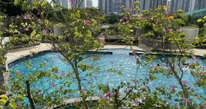 z4464337198549 006 63a5755498db6b64aa287fffd661f84c 1 810x430 - Cập nhật mua bán căn hộ cao cấp RIVERPARK PREMIER giá rẻ tháng 7/2023